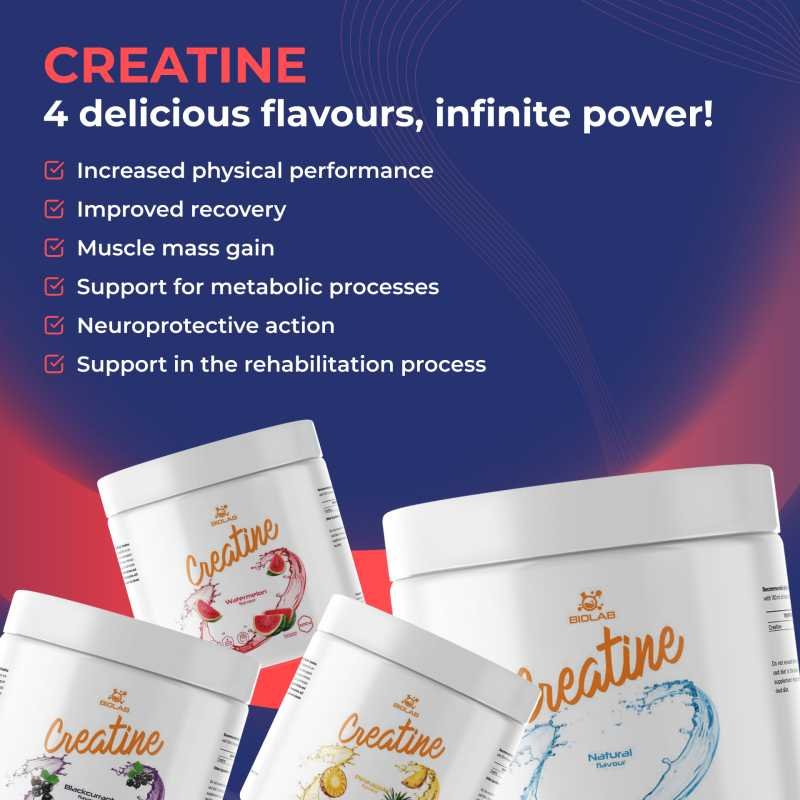 Creatine, micronized creatine monohydrate 500g - Image 2