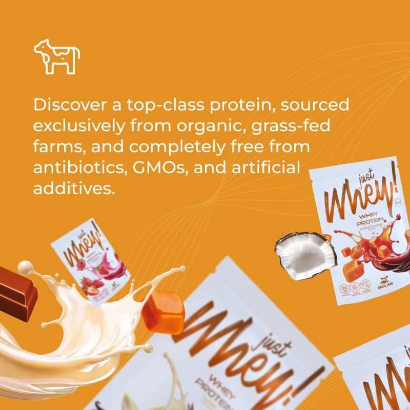 Just Whey! whey protein powder WPC premium Nutri Whey™, sachet 35g - Image 2